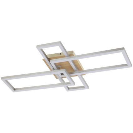 Rabalux - LED-kattovalaisin LED/24W/230V