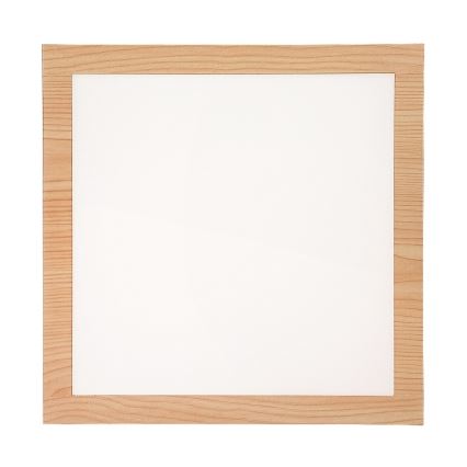 Rabalux - LED Pinta-asennettava paneeli LED/12W/230V 4000K