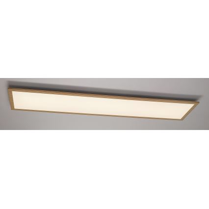 Rabalux - LED Pinta-asennettava paneeli LED/40W/230V 4000K