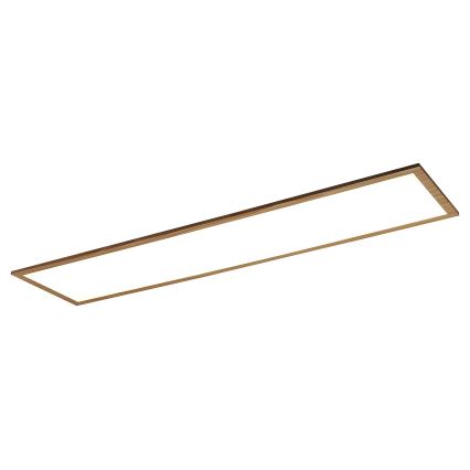 Rabalux - LED Pinta-asennettava paneeli LED/40W/230V 4000K