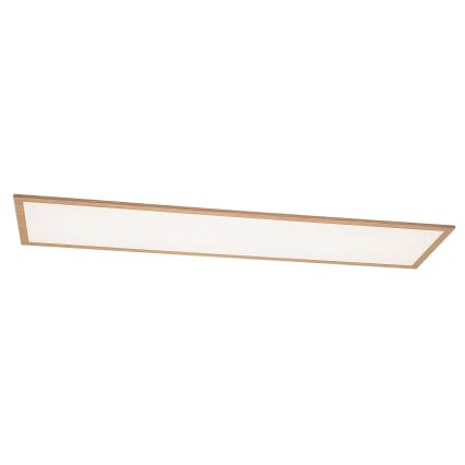 Rabalux - LED Pinta-asennettava paneeli LED/40W/230V 4000K