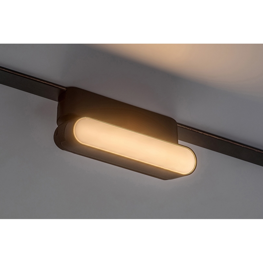 Rabalux - LED Kattovalaisin 1-vaihekiskoon LED/6W/230V 3000K 11,5 cm musta