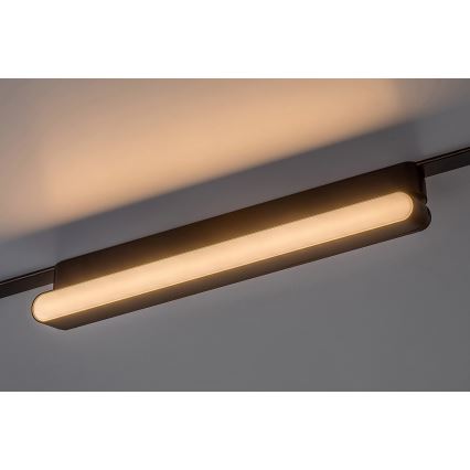 Rabalux - LED Kattovalaisin 1-vaihekiskoon LED/16W/24V 3000K 33 cm musta