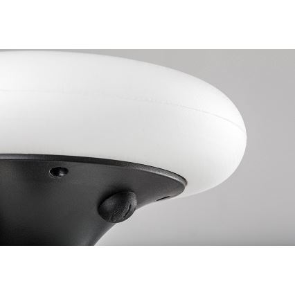 Rabalux - LED RGB aurinkovalo LED/0,6W/3,7V IP65