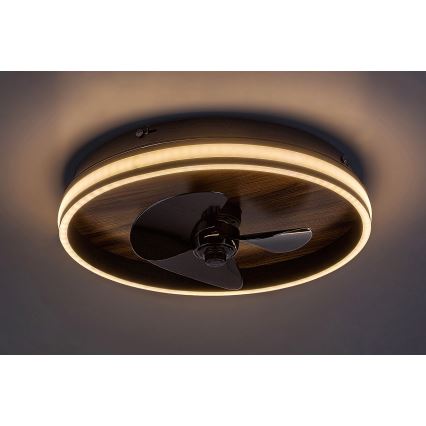 Rabalux - LED Himmennettävä kattovalaisin tuulettimella LED/30W/230V 3000-6500K + kauko-ohjaus