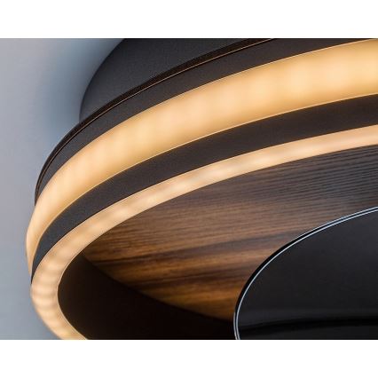 Rabalux - LED Himmennettävä kattovalaisin tuulettimella LED/30W/230V 3000-6500K + kauko-ohjaus