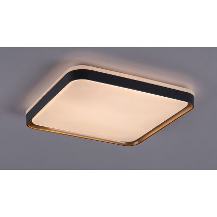 Rabalux - LED-kattovalaisin LED/26W/230V 3000K