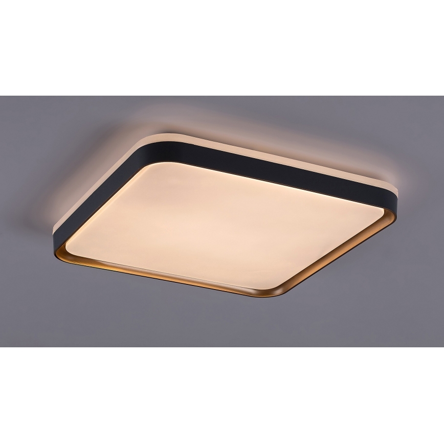 Rabalux - LED-kattovalaisin LED/26W/230V 3000K