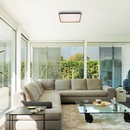 Rabalux - LED-kattovalaisin LED/26W/230V 3000K