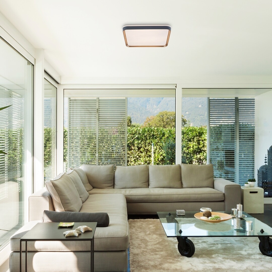 Rabalux - LED-kattovalaisin LED/26W/230V 3000K
