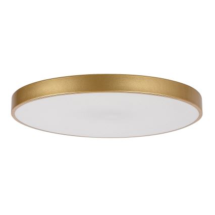Rabalux - Himmennettävä LED-kattovalaisin LED/60W/230V 3000-6000K + kauko-ohjaus