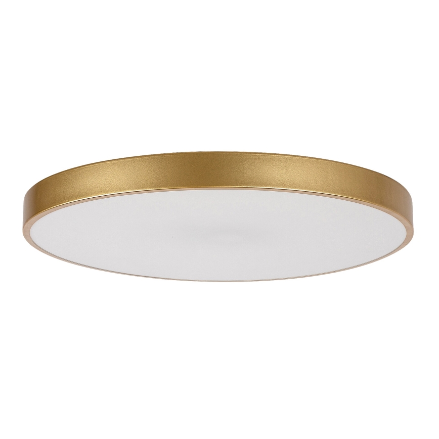 Rabalux - Himmennettävä LED-kattovalaisin LED/60W/230V 3000-6000K + kauko-ohjaus