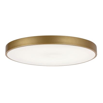 Rabalux - Himmennettävä LED-kattovalaisin LED/60W/230V 3000-6000K + kauko-ohjaus