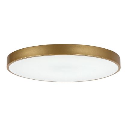 Rabalux - Himmennettävä LED-kattovalaisin LED/60W/230V 3000-6000K + kauko-ohjaus