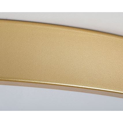 Rabalux - Himmennettävä LED-kattovalaisin LED/60W/230V 3000-6000K + kauko-ohjaus