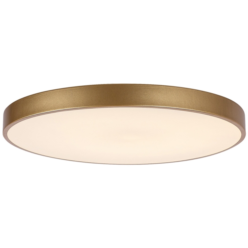 Rabalux - Himmennettävä LED-kattovalaisin LED/60W/230V 3000-6000K + kauko-ohjaus