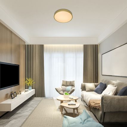 Rabalux - himmennettävä LED-kattovalaisin LED/60W/230V 3000-6000K + kauko-ohjain, halkaisija 60 cm