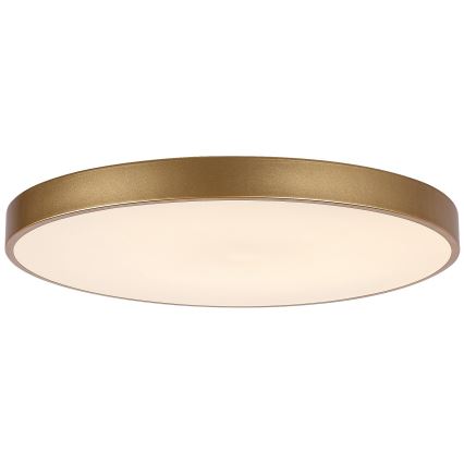 Rabalux - LED himmennettävä kattovalaisin LED/60W/230V 3000-6000K + kaukosäädin