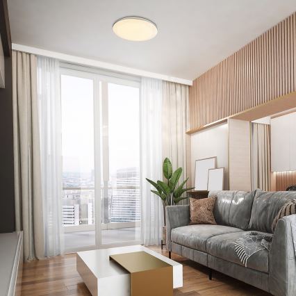 Rabalux - LED-kattovalaisin LED/24W/230V 4000K halkaisija 40 cm