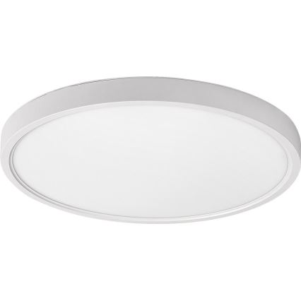 Rabalux - LED-kattovalaisin LED/24W/230V 4000K halkaisija 30 cm valkoinen