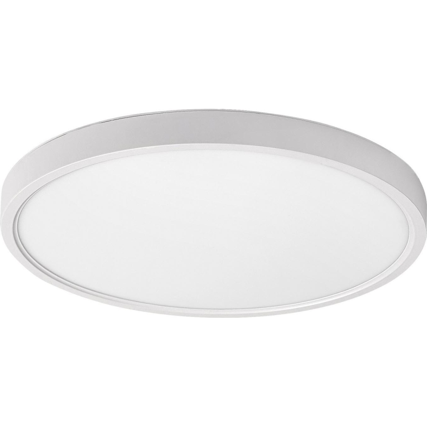 Rabalux - LED-kattovalaisin LED/24W/230V 4000K halkaisija 30 cm valkoinen