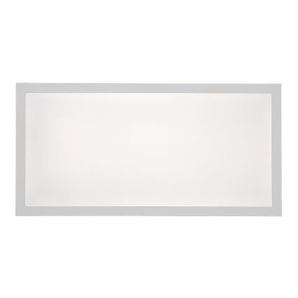 Rabalux - Kiinteä LED-paneeli LED/24W/230V 4000K 60x30 cm