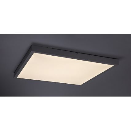 Rabalux - Kiinteä LED-paneeli LED/40W/230V 4000K 60x60 cm