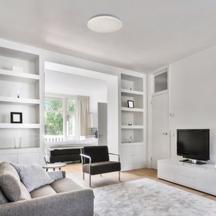 Rabalux - LED-kattovalaisin LED/24W/230V 4000K halkaisija 37,5 cm