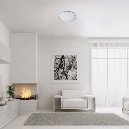 Rabalux - LED-kattovalaisin LED/45W/230V 4000K hopea 48 cm