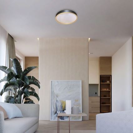 Rabalux - Himmennettävä LED-kattovalaisin LED/24W/230V 3000-6500K + kauko-ohjaus