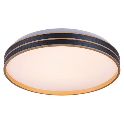 Rabalux - Himmennettävä LED-kattovalaisin LED/24W/230V 3000-6500K + kauko-ohjaus