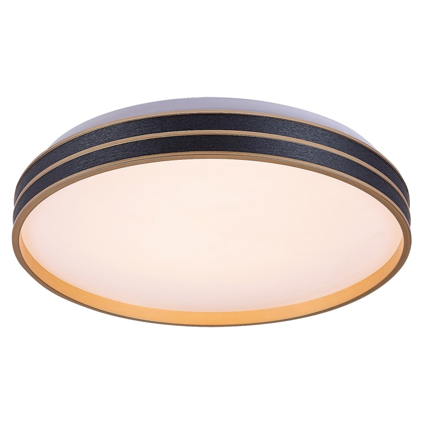 Rabalux - Himmennettävä LED-kattovalaisin LED/24W/230V 3000-6500K + kauko-ohjaus