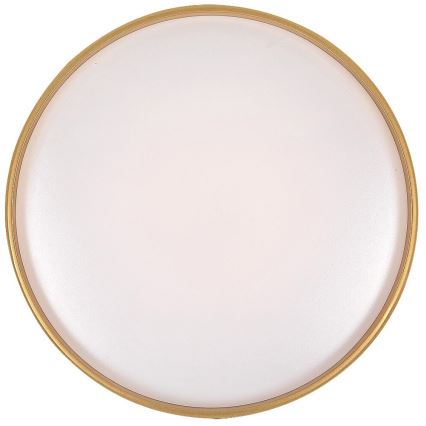 Rabalux - Himmennettävä LED-kattovalaisin LED/24W/230V 3000-6500K + kauko-ohjaus