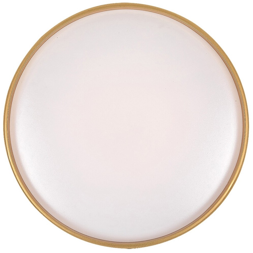 Rabalux - Himmennettävä LED-kattovalaisin LED/24W/230V 3000-6500K + kauko-ohjaus