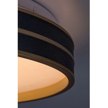 Rabalux - Himmennettävä LED-kattovalaisin LED/24W/230V 3000-6500K + kauko-ohjaus