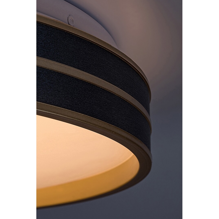Rabalux - Himmennettävä LED-kattovalaisin LED/24W/230V 3000-6500K + kauko-ohjaus