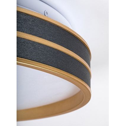 Rabalux - Himmennettävä LED-kattovalaisin LED/24W/230V 3000-6500K + kauko-ohjaus