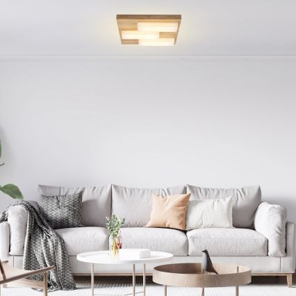 Rabalux - LED-kattovalaisin LED/30W/230V 3000K tammi
