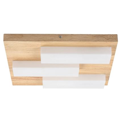 Rabalux - LED-kattovalaisin LED/30W/230V 3000K tammi