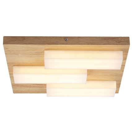 Rabalux - LED-kattovalaisin LED/30W/230V 3000K tammi
