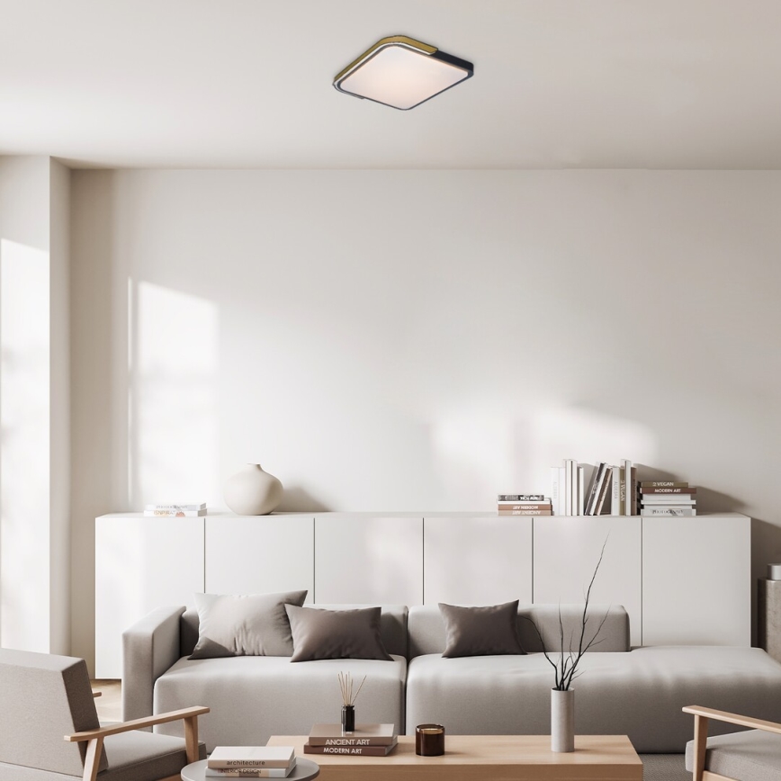 Rabalux - Himmennettävä LED-RGB-kattovalaisin LED/48W/230V 3000K/4000K/6500K Wi-Fi Tuya + kauko-ohjaus