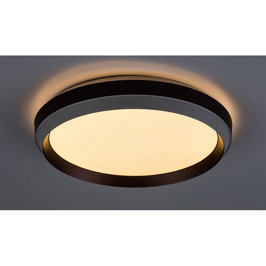Rabalux - LED-kattovalaisin LED/24W/230V 3000K