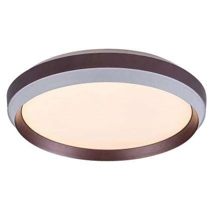 Rabalux - LED-kattovalaisin LED/24W/230V 3000K