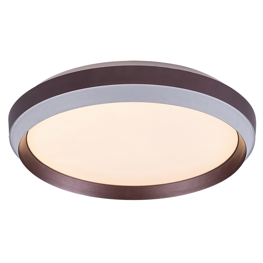 Rabalux - LED-kattovalaisin LED/24W/230V 3000K