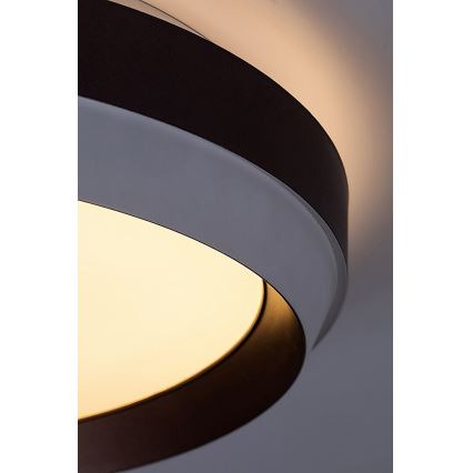 Rabalux - LED-kattovalaisin LED/24W/230V 3000K