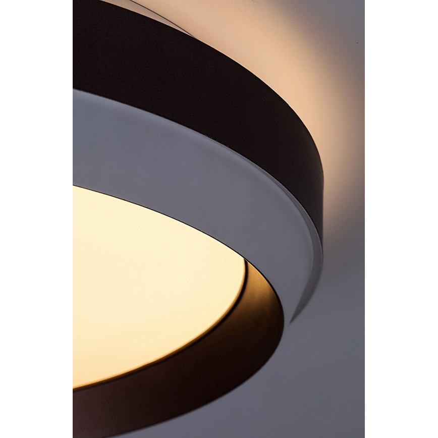 Rabalux - LED-kattovalaisin LED/24W/230V 3000K