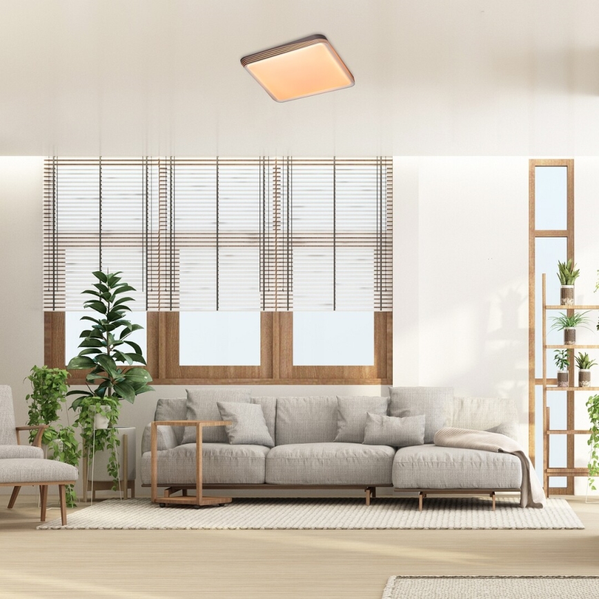Rabalux - LED-kattovalaisin LED/40W/230V 3000K