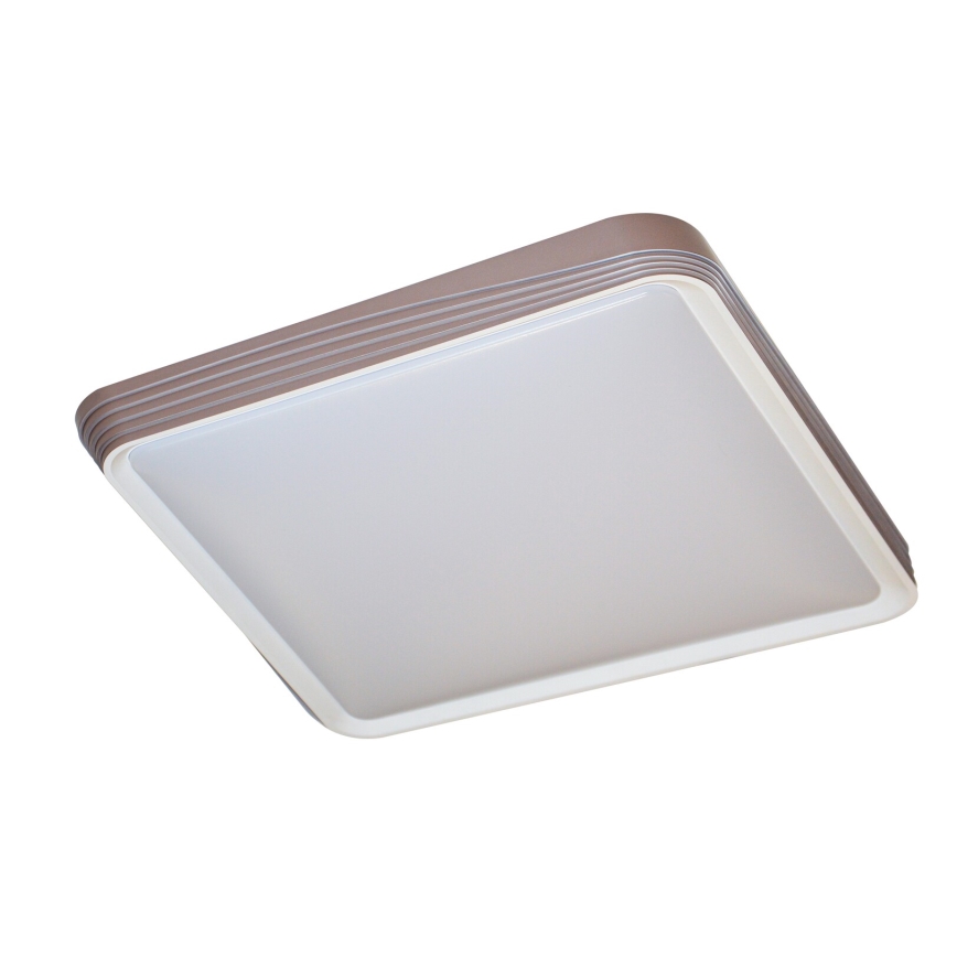 Rabalux - LED-kattovalaisin LED/40W/230V 3000K