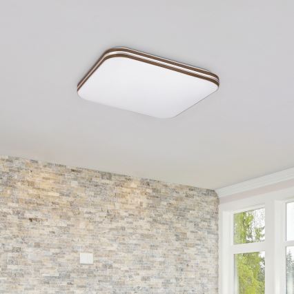 Rabalux - LED-kattovalaisin LED/18W/230V 4000K 33x33 cm