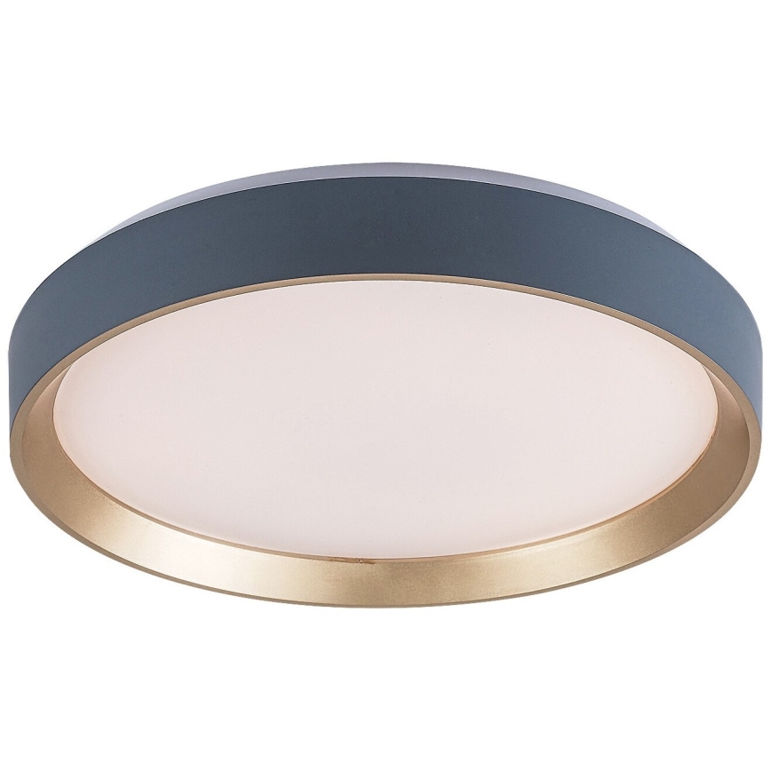Rabalux - LED-kattovalaisin LED/25W/230V 3000K halkaisija 38 cm